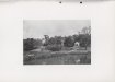 Thumbnail s01627.jpg 