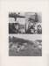 Thumbnail s01403.jpg 