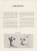 Thumbnail s00906.jpg 