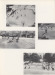 Thumbnail s00853.jpg 