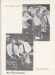 Thumbnail s00761.jpg 