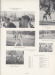Thumbnail s00763.jpg 