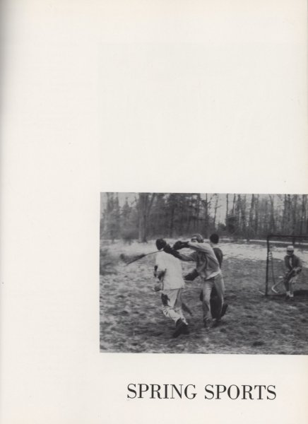 Scaled image s00611.jpg 