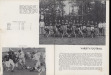 Thumbnail s00485.jpg 
