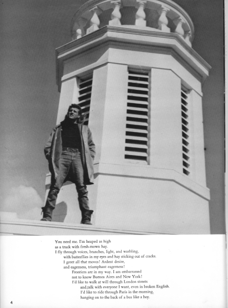 Scaled image s00005.jpg 