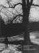 Thumbnail s00004.jpg 