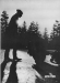 Thumbnail s00130.jpg 