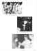 Thumbnail s00086.jpg 