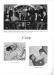 Thumbnail s00078.jpg 