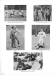 Thumbnail s00117.jpg 