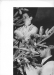 Thumbnail s00091.jpg 