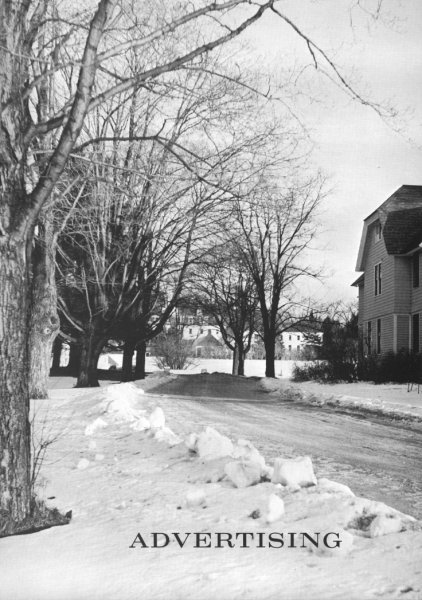 Scaled image s00134.jpg 