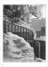 Thumbnail s00142.jpg 
