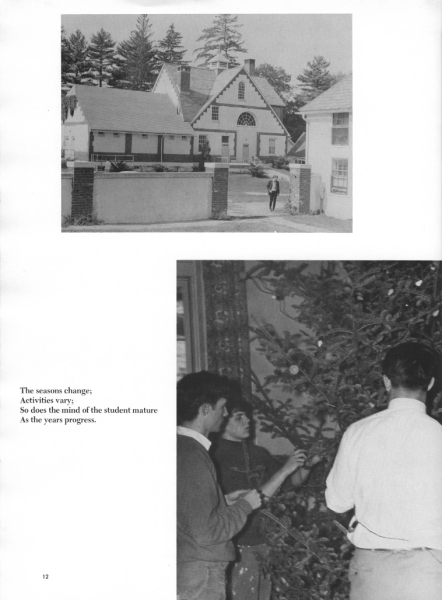 Scaled image s00013.jpg 
