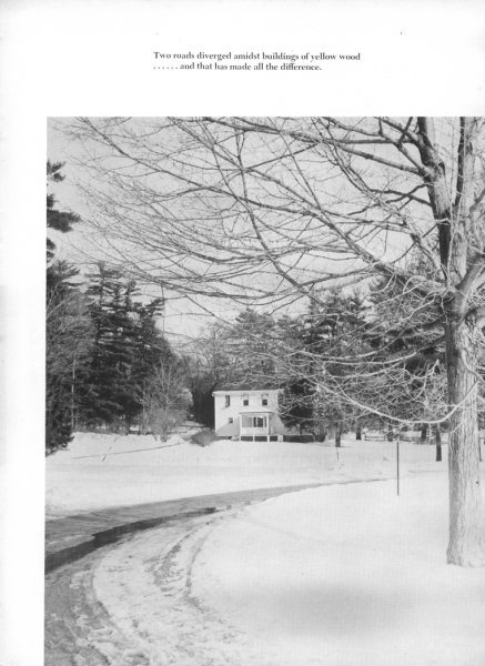 Scaled image s00014.jpg 