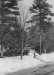Thumbnail s00006.jpg 