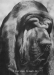 Thumbnail s00154.jpg 
