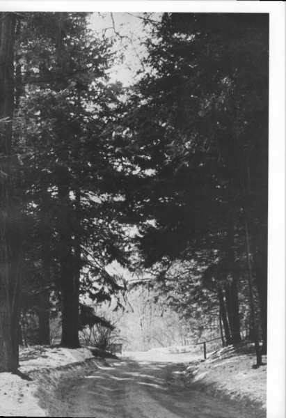 Scaled image s00082.jpg 