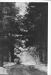 Thumbnail s00082.jpg 