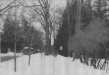 Thumbnail s00088.jpg 