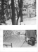 Thumbnail s00092.jpg 