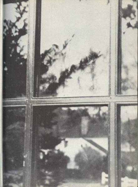 Scaled image s00009.jpg 