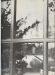 Thumbnail s00009.jpg 