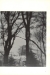 Thumbnail s00011.jpg 