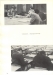 Thumbnail s00034.jpg 