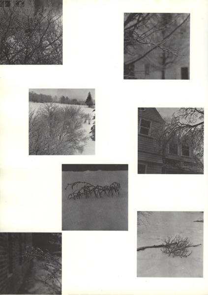 Scaled image s10100.jpg 