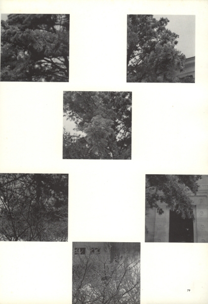 Scaled image s10101.jpg 