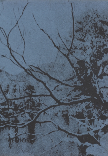 Scaled image s00103.jpg 