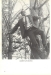 Thumbnail s00114.jpg 