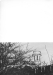 Thumbnail s07100.jpg 