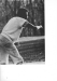 Thumbnail s07110.jpg 