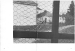 Thumbnail s07186.jpg 