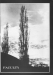 Thumbnail s07115.jpg 