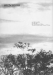Thumbnail s07134.jpg 