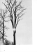 Thumbnail s07237.jpg 