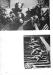 Thumbnail s07245.jpg 
