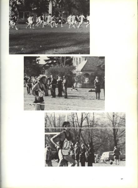 Scaled image s00038.jpg 