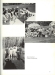 Thumbnail s00036.jpg 
