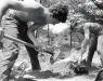 Thumbnail chapelcement.jpg 