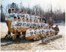 Thumbnail LenoxFootball1965.jpg 