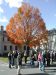 Thumbnail Lenox Oct 06 063.jpg 