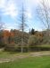Thumbnail IMG_3146.jpg 