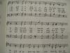 Thumbnail IMG_3184.jpg 