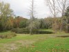 Thumbnail IMG_2516.jpg 