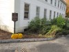 Thumbnail IMG_2522.jpg 