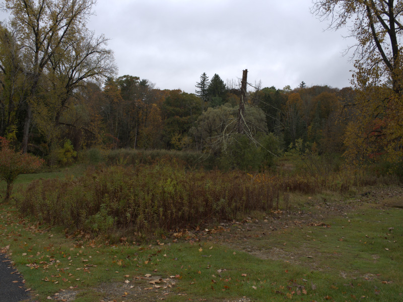 Scaled image PA160103.jpg 